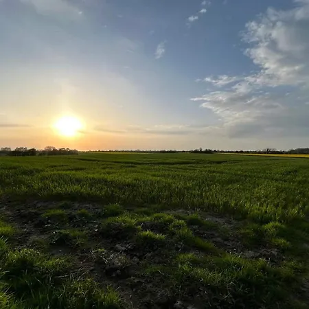 8 Person In Haderslev-by Traum هادرسليف